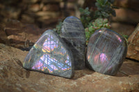 Polished Rare Purple Flash Labradorite Standing Free Forms x 3 From Tulear, Madagascar