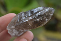 Natural Clear Smokey Quartz Crystals  x 12 From Malawi