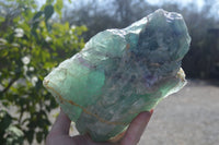 Polished Watermelon Fluorite Standing Free Form  x 1 From Uis, Namibia