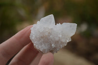 Natural Small Mixed Spirit Quartz Clusters / Crystals  x 24 From Boekenhouthoek, South Africa - TopRock