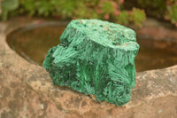 Natural Chatoyant Silky Malachite Specimens  x 6 From Kasompe, Congo - TopRock