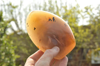 Polished Dendritic Agate Standing Free Forms  x 3 From Moralambo, Madagascar - TopRock