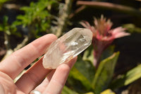 Natural Clear Quartz Crystals  x 48 From Madagascar - TopRock