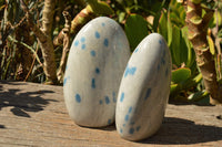 Polished Blue Spotted Spinel / Dalmatian Stone Standing Free Forms  x 3 From Madagascar - TopRock