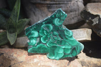 Polished Flower Banded Malachite Slices  x 6 From Congo - Toprock Gemstones and Minerals 