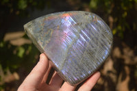 Polished Rare Purple Flash Labradorite Standing Free Forms x 2 From Tulear, Madagascar