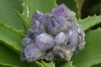 Natural Dark Purple Amethyst Clusters  x 3 From Mapatizya, Zambia - TopRock