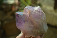 Natural Mixed Quartz Specimens x 6 From Southern Africa