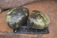 Polished Extra Large Leopard Stone Free Forms  x 6 From Zimbabwe - Toprock Gemstones and Minerals 