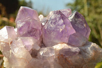 Natural Jacaranda Amethyst Quartz Clusters x 2 From Zambia - TopRock