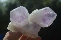 Natural Jacaranda Amethyst Clusters  x 3 From Mumbwa, Zambia - Toprock Gemstones and Minerals 