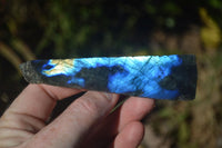 Polished One Side Polished Labradorite Slices  x 12 From Tulear, Madagascar - Toprock Gemstones and Minerals 