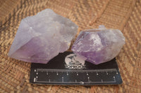 Natural Single Jacaranda Amethyst Crystals x 12 From Zambia