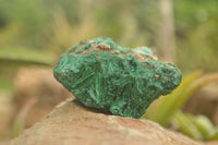 Natural Chatoyant Silky Malachite Specimens  x 6 From Kasompe, Congo - TopRock