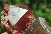 Natural Hematoid Quartz Crystals  x 6 From Zimbabwe - TopRock