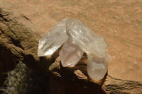 Natural Clear Quartz Crystals  x 48 From Madagascar - TopRock