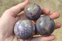 Polished Small Purple Lepidolite Spheres (Rubellite Inclusions on some) x 6 From Madagascar - TopRock