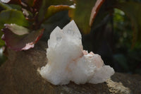 Natural Cathedral Window Quartz Crystals  x 6 From Madagascar