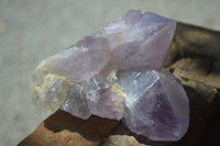 Natural Jacaranda Amethyst Clusters  x 3 From Mumbwa, Zambia - Toprock Gemstones and Minerals 