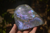 Polished Rare Purple Flash Labradorite Standing Free Forms x 2 From Tulear, Madagascar