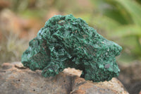 Natural Chatoyant Silky Malachite Specimens  x 6 From Kasompe, Congo - TopRock