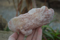 Natural Pink Candle Quartz Specimens   x 5 From Madagascar