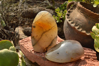 Polished Dendritic Agate Standing Free Forms  x 3 From Moralambo, Madagascar - TopRock