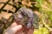 Natural Selected Purple Stichtite Specimens  x 21 From Barberton, South Africa - TopRock