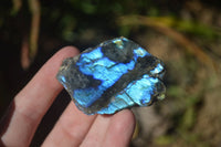 Polished One Side Polished Labradorite Slices  x 12 From Tulear, Madagascar - Toprock Gemstones and Minerals 