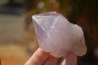 Natural Single Jacaranda Amethyst Crystals x 12 From Zambia