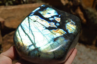 Polished Labradorite Standing Free Forms With Intense Blue Flash x 2 From Sakoany, Madagascar - TopRock