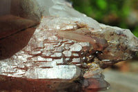 Natural Hematoid Quartz Crystals  x 6 From Zimbabwe - TopRock