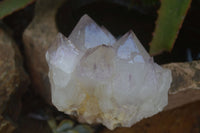 Natural Extra Large Spirit Quartz Crystals  x 4 From Boekenhouthoek, South Africa - Toprock Gemstones and Minerals 