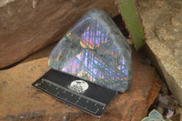 Polished Rare Purple Flash Labradorite Standing Free Forms x 3 From Tulear, Madagascar