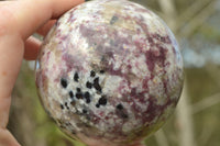 Polished Pink Rubellite Tourmaline Spheres x 3 From Madagascar - TopRock