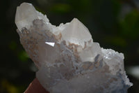 Natural Cathedral Window Quartz Crystals  x 6 From Madagascar