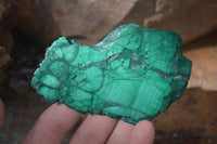 Polished Flower Banded Malachite Slices  x 6 From Congo - Toprock Gemstones and Minerals 