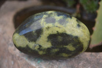 Polished Extra Large Leopard Stone Free Forms  x 6 From Zimbabwe - Toprock Gemstones and Minerals 