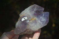 Natural Jacaranda Amethyst Clusters  x 3 From Mumbwa, Zambia - Toprock Gemstones and Minerals 