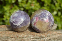 Polished Small Purple Lepidolite Spheres (Rubellite Inclusions on some) x 6 From Madagascar - TopRock