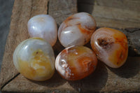 Polished Carnelian Agate Palm Stones  x 6 From Madagascar - Toprock Gemstones and Minerals 