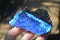 Polished One Side Polished Labradorite Slices  x 12 From Tulear, Madagascar - Toprock Gemstones and Minerals 