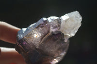 Natural Large Smokey Amethyst Crystal Specimens  x 6 From Chiredzi, Zimbabwe - Toprock Gemstones and Minerals 