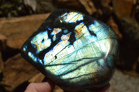 Polished Labradorite Standing Free Forms With Intense Blue Flash x 2 From Sakoany, Madagascar - TopRock