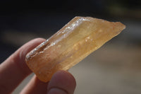 Natural Honey Aragonite Etched & Cobbed Pieces  x 35 From Namibia