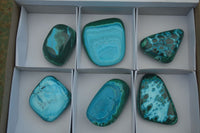 Polished Stunning Malacholla Free Forms  x 6 From Congo - Toprock Gemstones and Minerals 