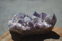 Natural Dark Purple Amethyst Clusters  x 3 From Mapatizya, Zambia - TopRock