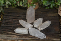 Polished Inclusion Quartz Points x 6 From Madagascar