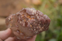 Natural Red Hematoid Phantom Quartz Clusters  x 4 From Karoi, Zimbabwe - TopRock