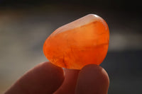 Polished  Small Carnelian Agate Free Forms  x 42 From Madagascar